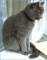 Задание рисунок 1