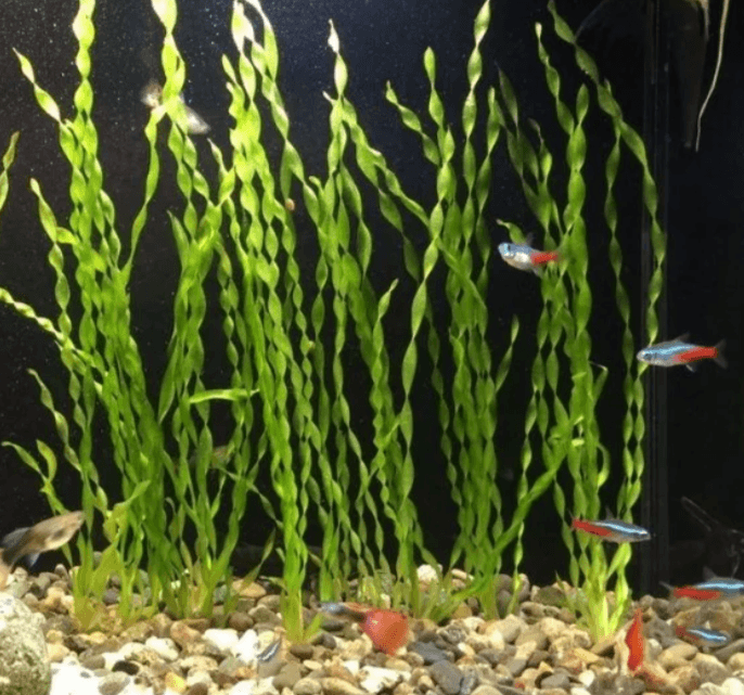 Решение рисунок 2