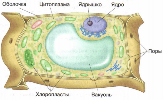 Решение рисунок 2